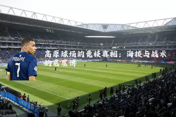 高原球场的竞技真相：海拔与战术的底层博弈